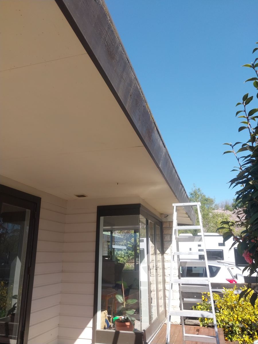 Clean finished fascia and gutter line on a modern home