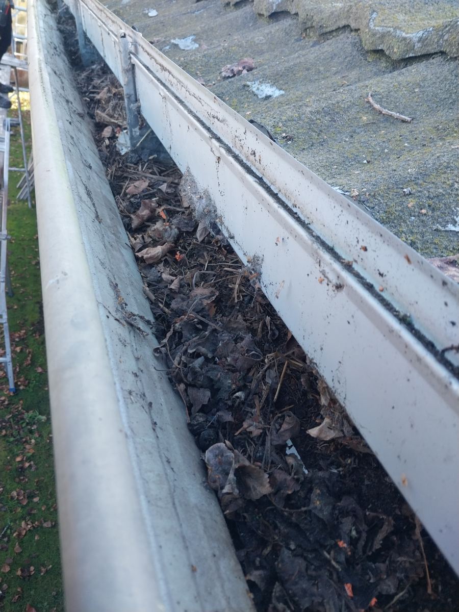 Internal gutter run packed end to end with wet leaf litter