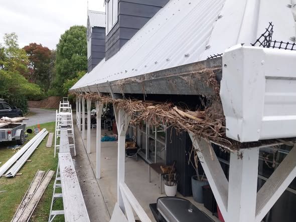 Internal gutter packed with leaves and debris before replacement