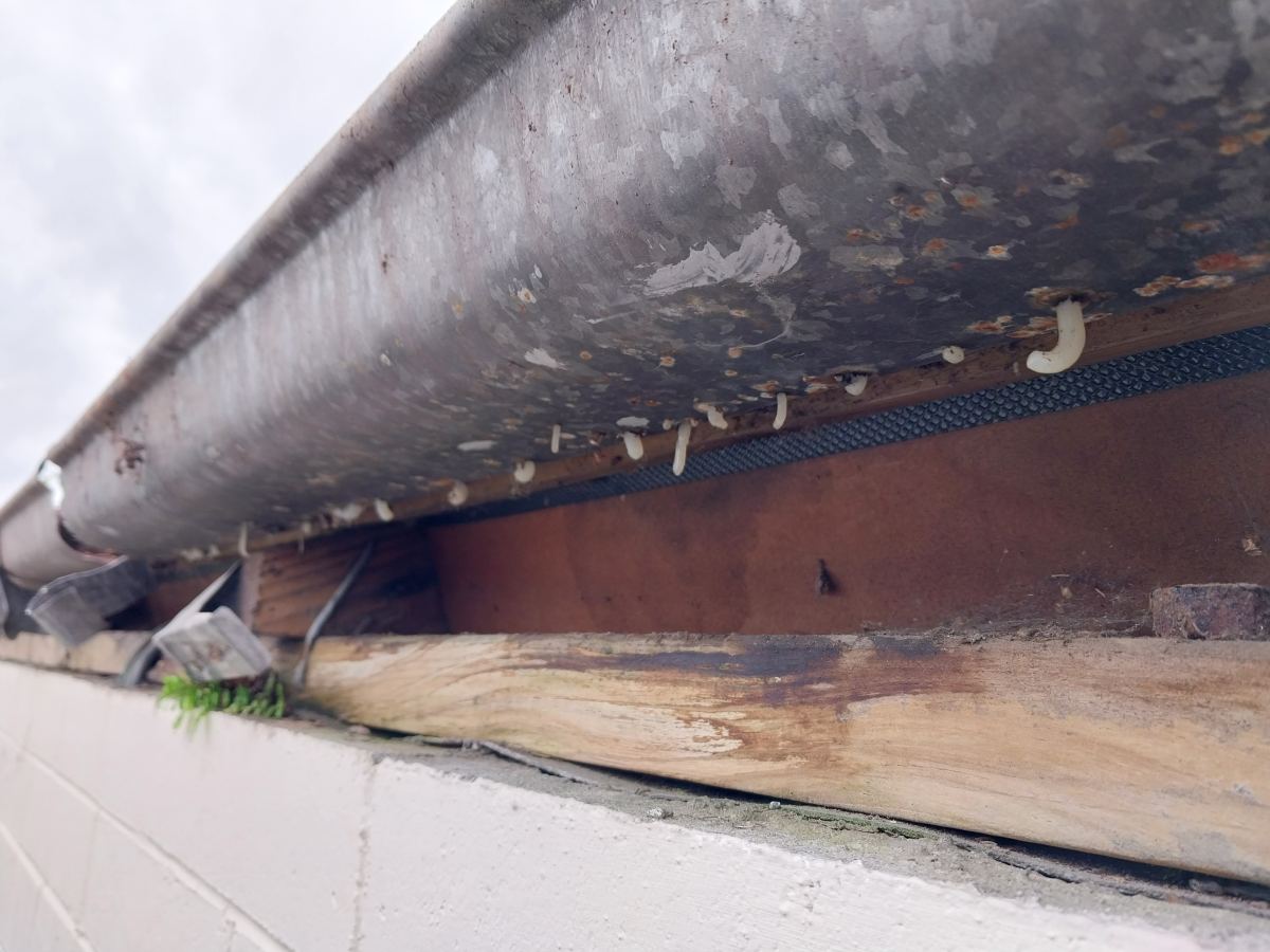 Rusting internal gutter and stained fascia line before conversion