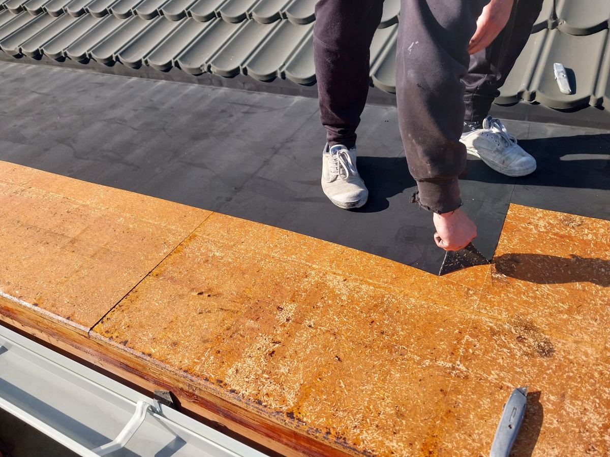 Water-stained roof substrate exposed after the old covering was lifted