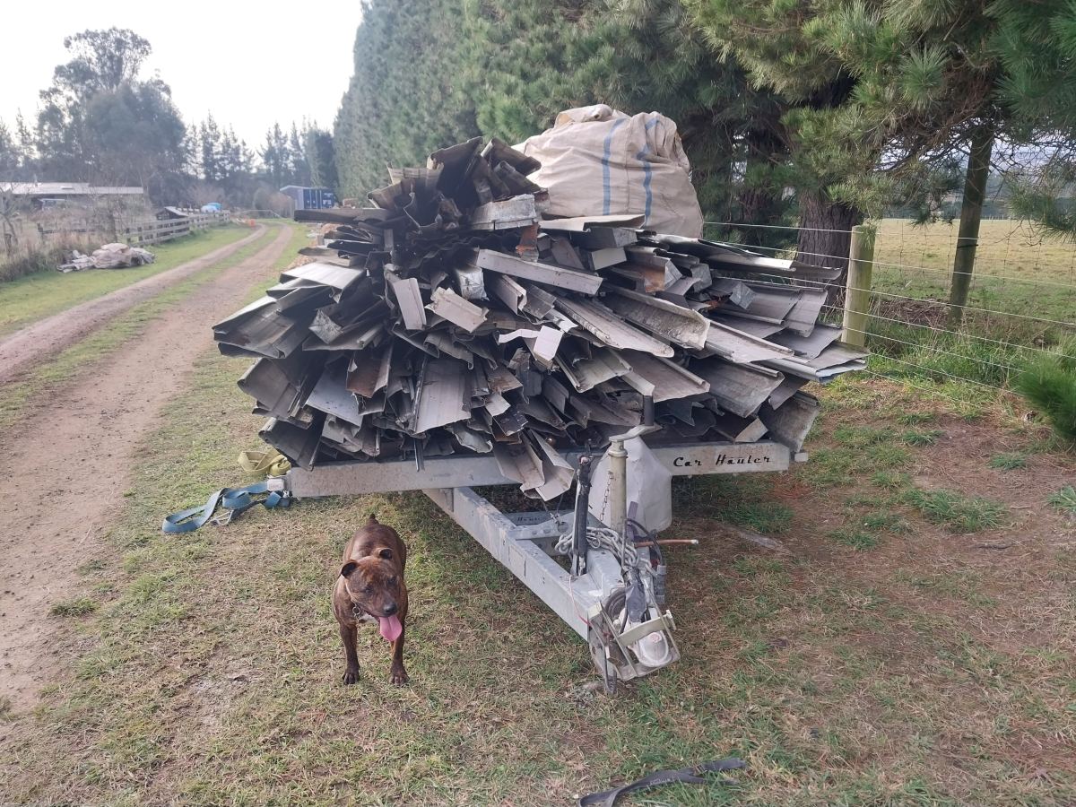 Trailer loaded with old roofing and fascia stripped from a job, with the site dog alongside
